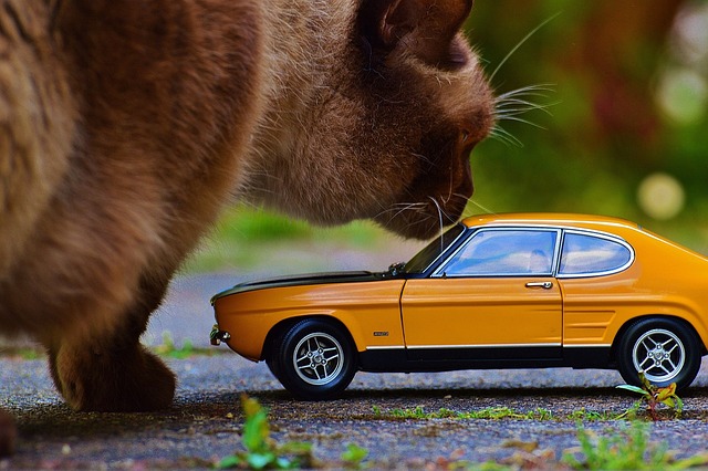 car,cars,mercedes,audi,bmw,ford,vauxall
