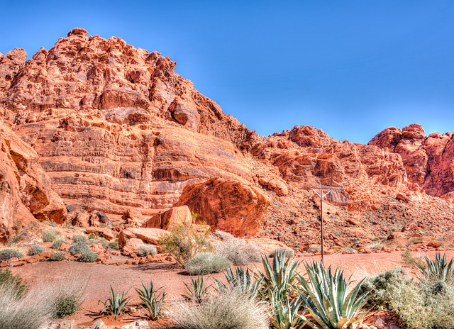Fast-Track Home Sales: A Guide to ‘We Buy Houses Las Vegas