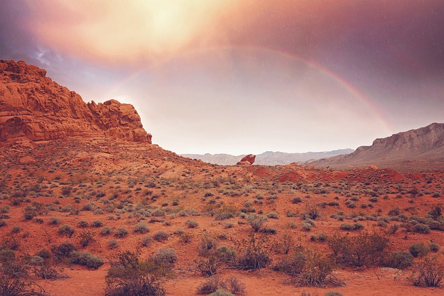 Quick Sales Guide: Understanding ‘We Buy Houses Las Vegas