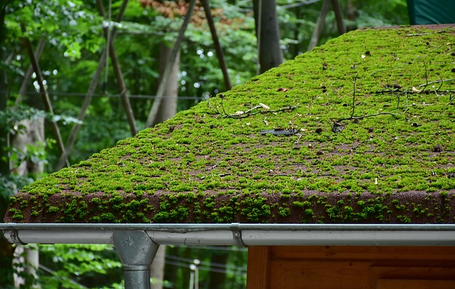 Gutter clearing