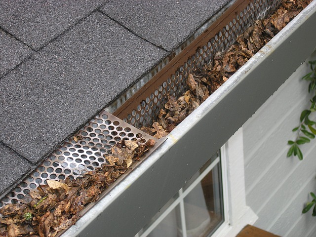 Gutter clearing