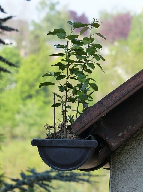 Gutter clearing