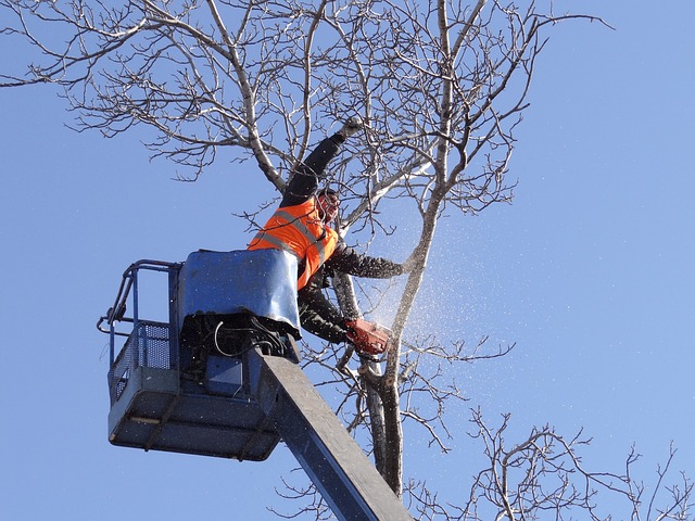 Gutter clearing