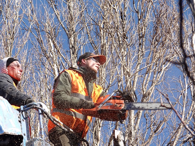 Gutter Clearing: Basics, Benefits, and Effective Maintenance Tips