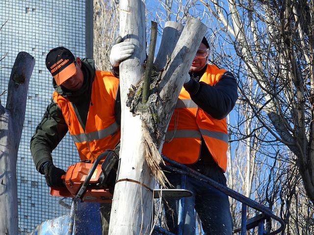 Gutter clearing