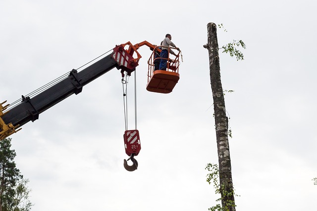 Gutter clearing