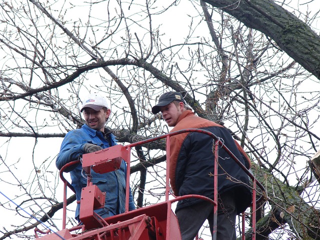 Gutter clearing