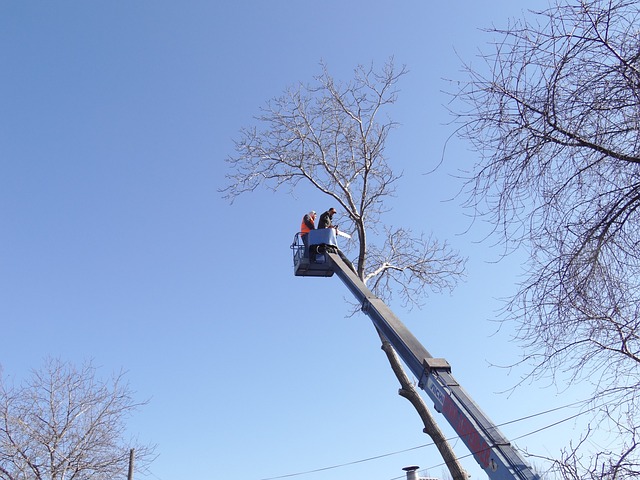 Gutter clearing