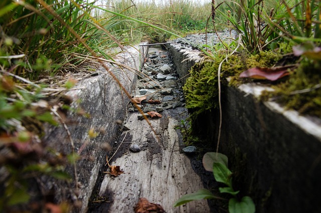 Gutter clearing