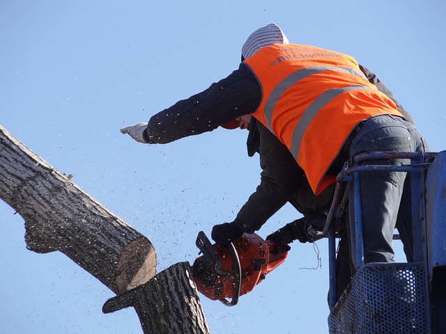 Gutter clearing