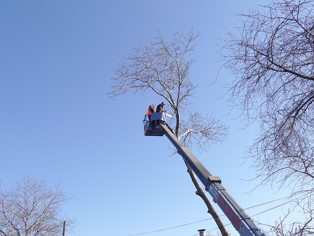 Gutter clearing