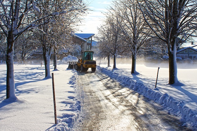 Mastering Burton Gutter Clearing: Benefits and Choosing Experts