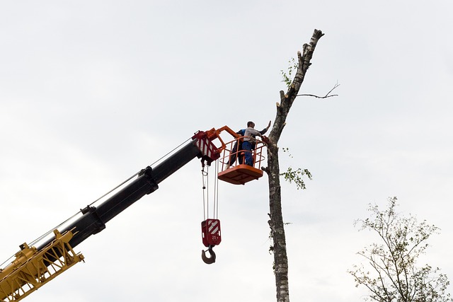 Gutter clearing