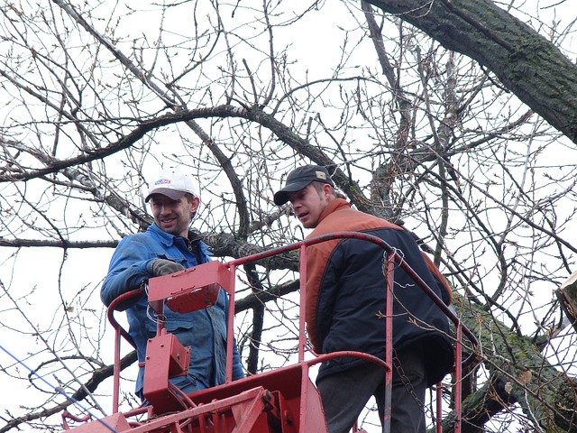 Gutter Clearing Burton: Uncloggings, Professional Services, and Local Tips