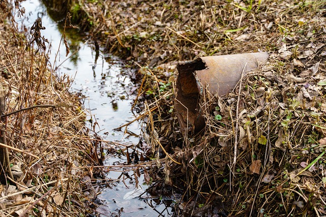 Gutter Clearing Burton: Expert Services for Your Home’s Health