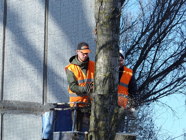 Gutter Clearing Burton: Find Reputable Cleaners Near You