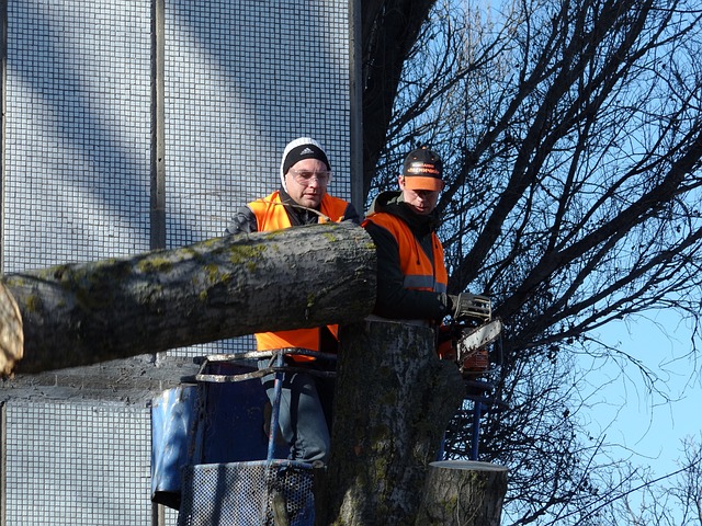 Gutter Clearing Burton, Gutter Clearing Near Me, Gutter Cleaners Burton Upon Trent