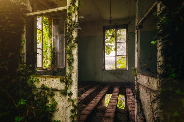 house