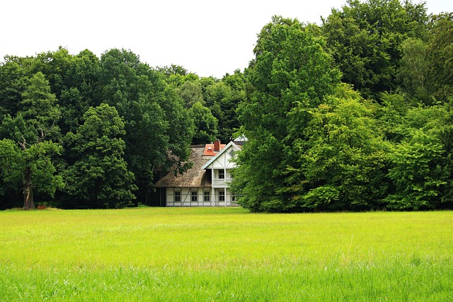 house