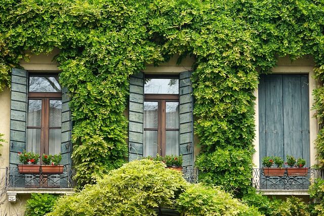 house, home, sell house,for sale