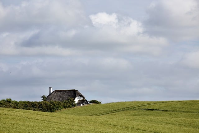 house,houses,house sold