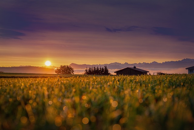 We Buy Houses Madison: A Local Solution for Selling Your Property in Jackson