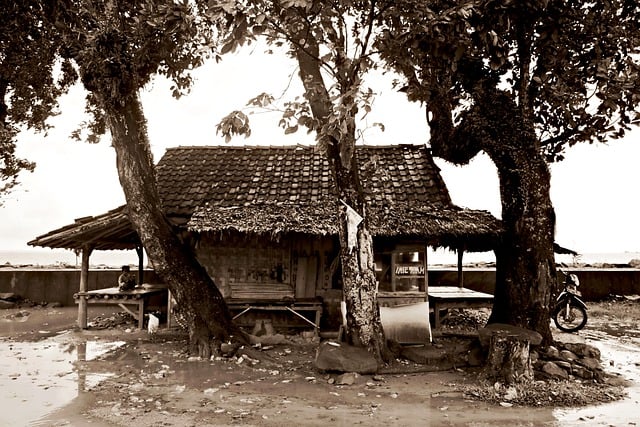 houses