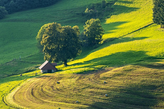 houses-640x480-34175018.jpeg