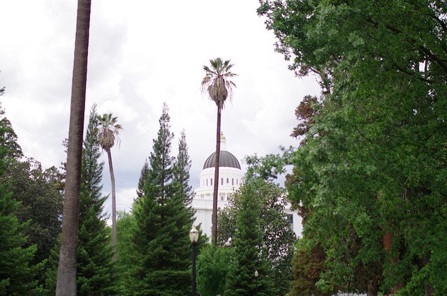offerpad-vs-we-buy-houses-sacramento-640x480-21991042.jpeg