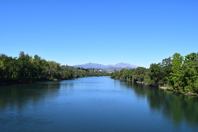 top 5 cash home buyers in sacramento