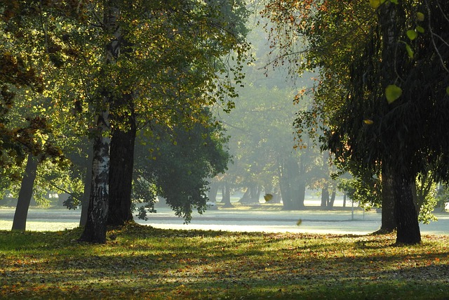 we-buy-houses-in-land-park-sacramento-640x480-58083271.jpeg