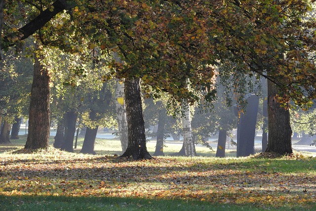 Selling Your Land Park Sacramento Home Made Easy with We Buy Houses