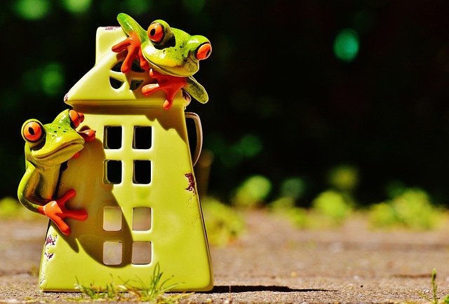 Sacramento’s Fast-Growing Realty: Strategies for Quick Home Sales Now