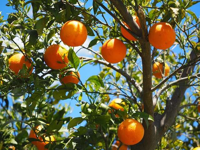 we buy houses in citrus heights