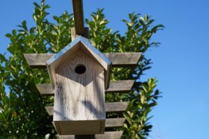 we-buy-houses-in-sacramento-640x480-14257652.jpeg