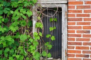 sell-vacant-house-sacramento-640x480-60751744.jpeg