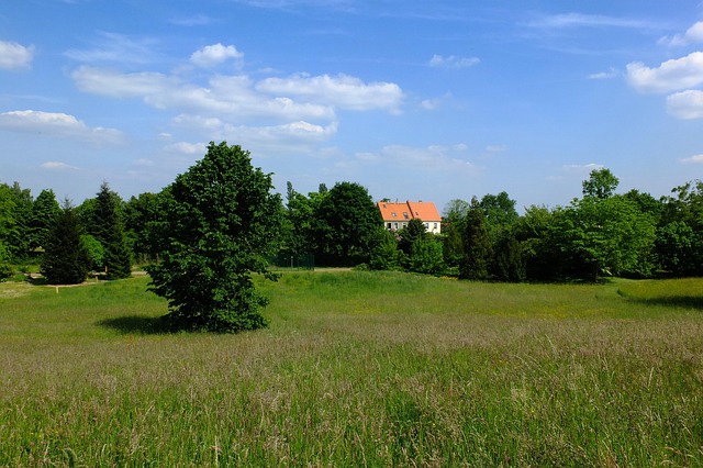 we buy houses in arden-arcade